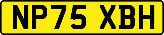 NP75XBH