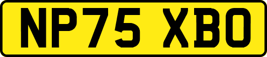 NP75XBO