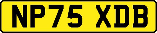 NP75XDB