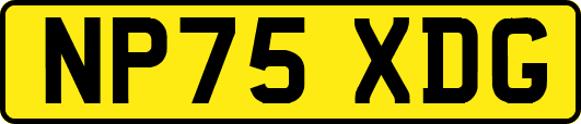 NP75XDG