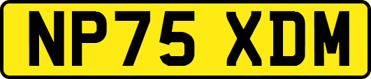 NP75XDM