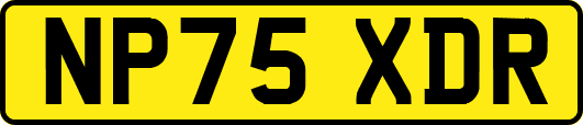 NP75XDR