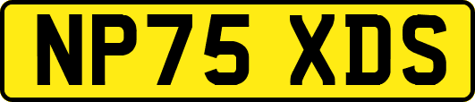 NP75XDS