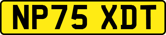 NP75XDT
