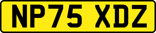 NP75XDZ