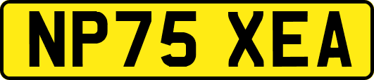 NP75XEA