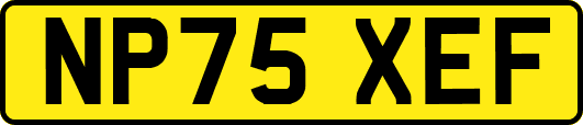 NP75XEF