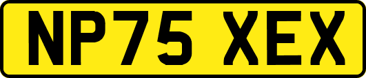 NP75XEX