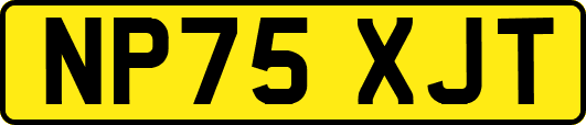 NP75XJT