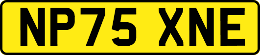 NP75XNE