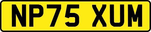 NP75XUM