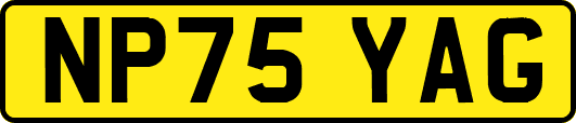 NP75YAG