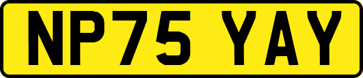 NP75YAY