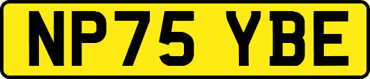 NP75YBE