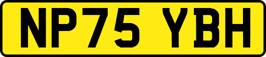 NP75YBH
