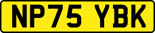 NP75YBK