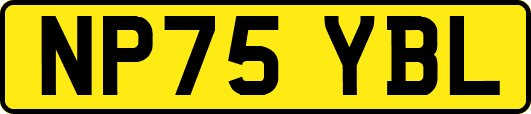 NP75YBL