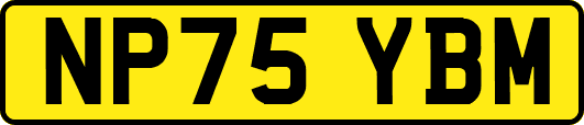 NP75YBM