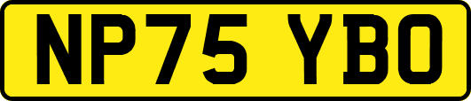 NP75YBO