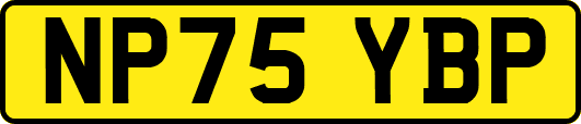 NP75YBP