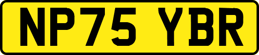 NP75YBR