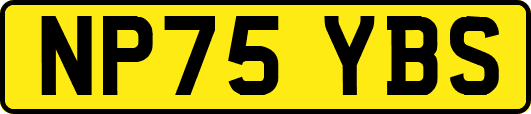 NP75YBS