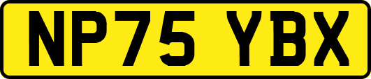 NP75YBX