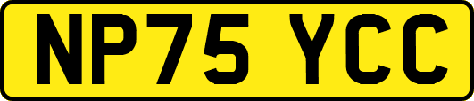 NP75YCC