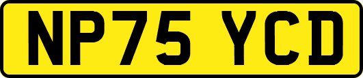 NP75YCD