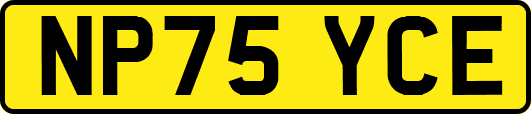 NP75YCE