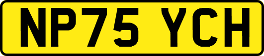 NP75YCH