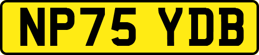 NP75YDB