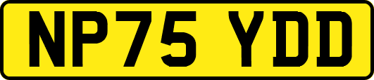 NP75YDD