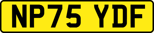NP75YDF