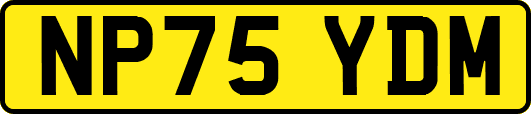 NP75YDM