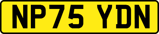 NP75YDN