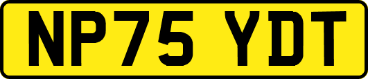 NP75YDT