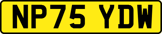 NP75YDW