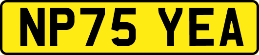 NP75YEA