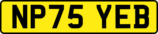 NP75YEB