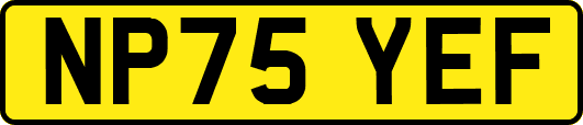NP75YEF