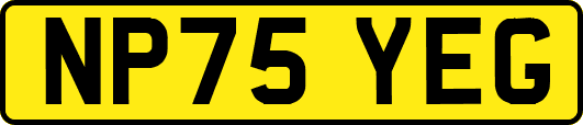 NP75YEG