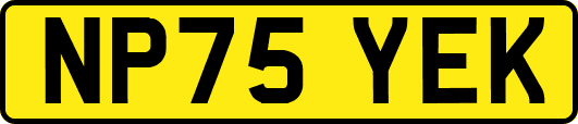 NP75YEK