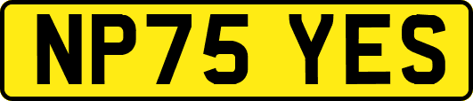 NP75YES