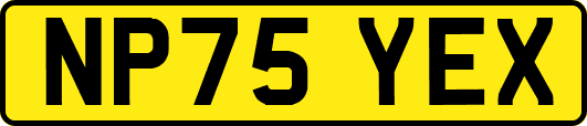 NP75YEX