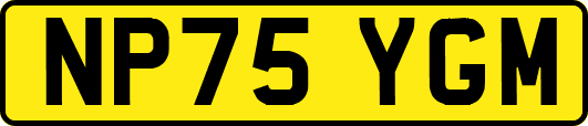 NP75YGM
