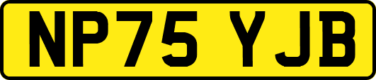 NP75YJB