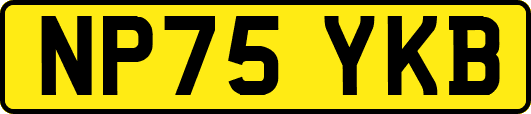 NP75YKB