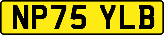 NP75YLB