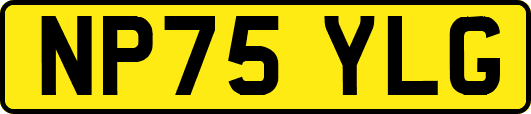 NP75YLG